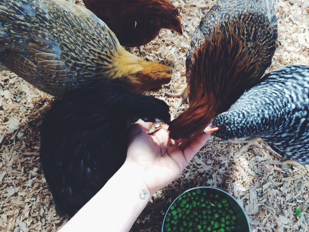 Processed with VSCOcam with f2 preset