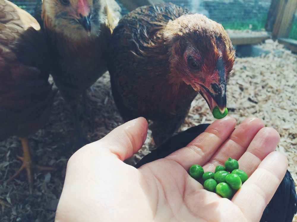 Processed with VSCOcam with f2 preset